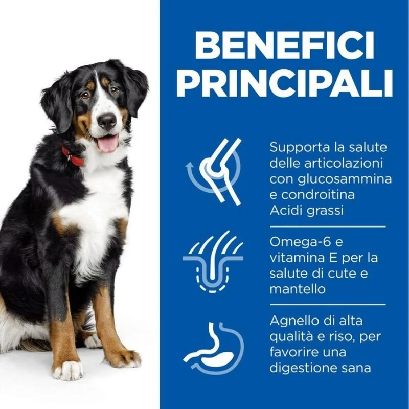 Hills Cane Large Breed Adult Agnello E Riso 12Kg