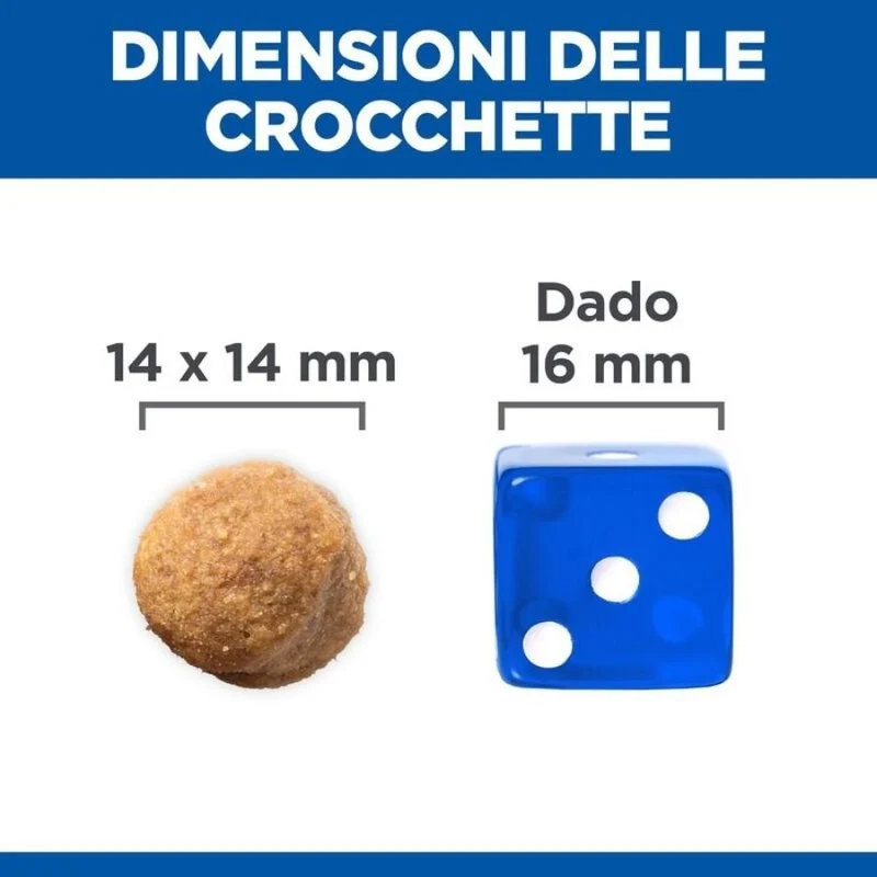 Hills Cane Large Breed Adult Agnello E Riso 12Kg
