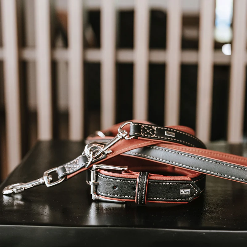 Halsband Canadian Up