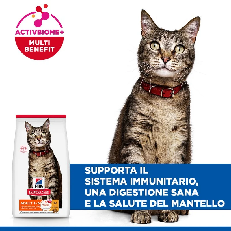 HILL'S SCIENCE PLAN Adult Alimento secco per gatti al pollo - 10kg