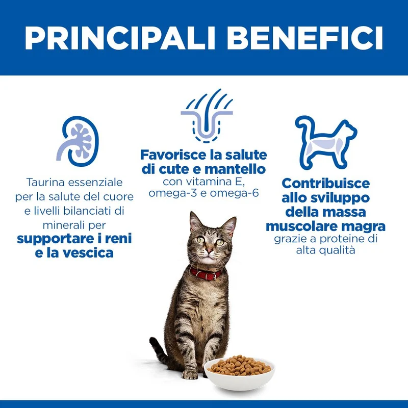 HILL'S SCIENCE PLAN Adult Alimento secco per gatti al pollo - 10kg