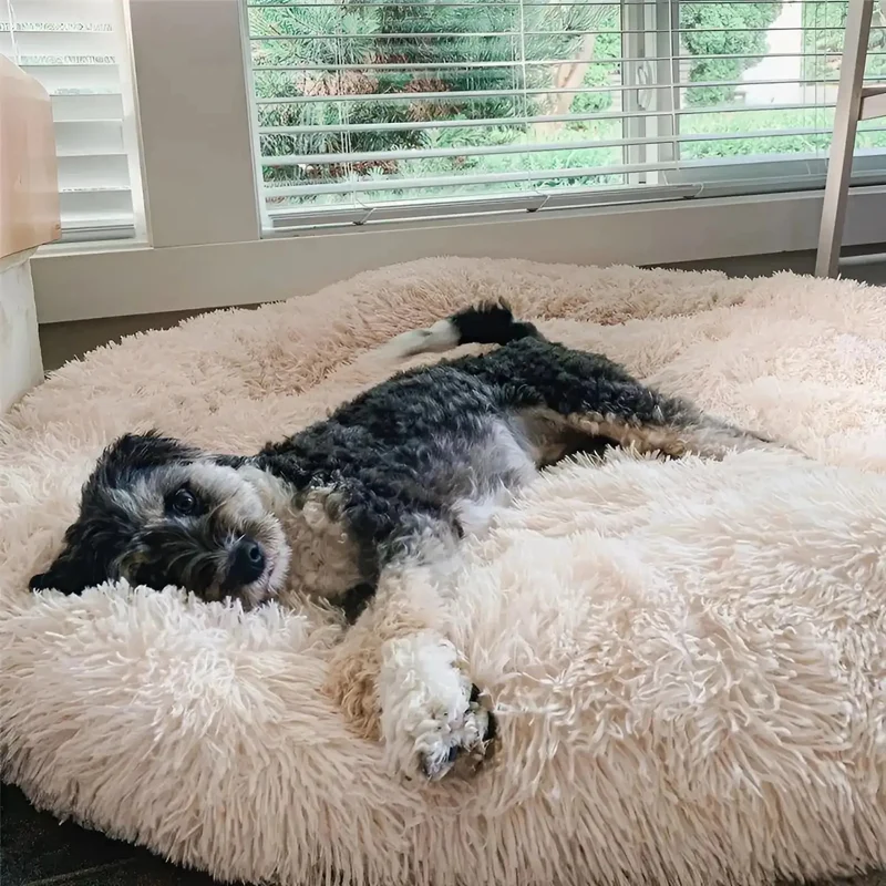 Large Dog Bed Plush Cozy Design Comfortable