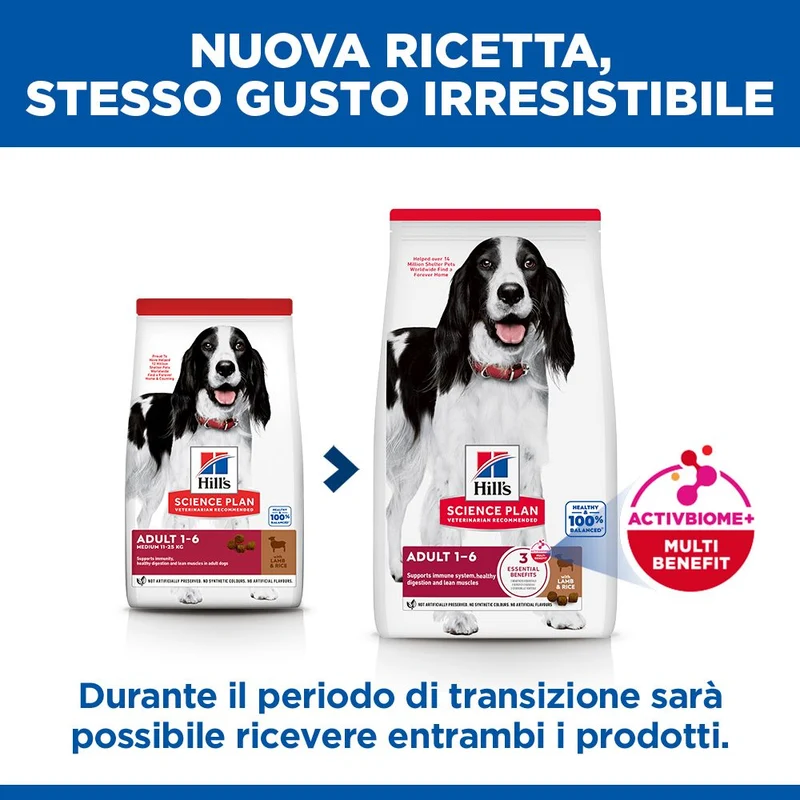 HILL'S SCIENCE PLAN Adult Medium Alimento secco per cani all'agnello e riso - 14kg