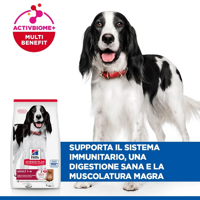HILL'S SCIENCE PLAN Adult Medium Alimento secco per cani all'agnello e riso - 14kg
