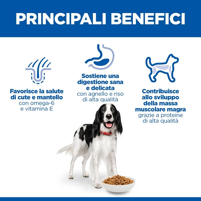 HILL'S SCIENCE PLAN Adult Medium Alimento secco per cani all'agnello e riso - 14kg