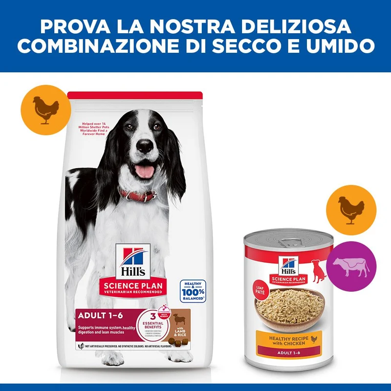 HILL'S SCIENCE PLAN Adult Medium Alimento secco per cani all'agnello e riso - 14kg