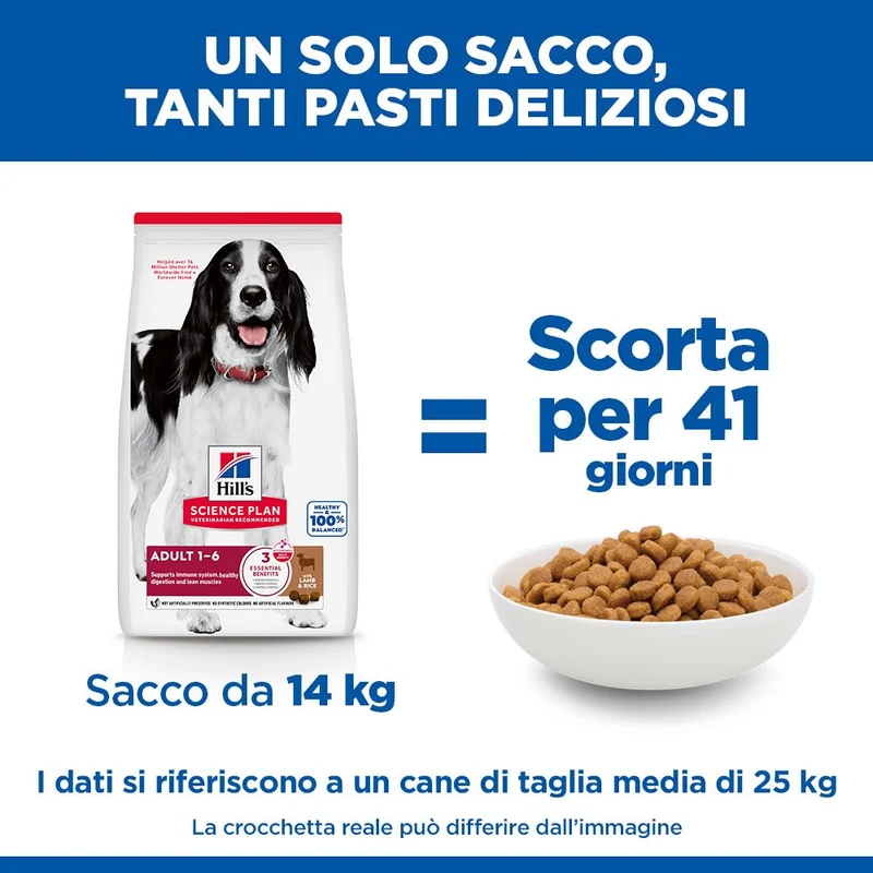 HILL'S SCIENCE PLAN Adult Medium Alimento secco per cani all'agnello e riso - 14kg