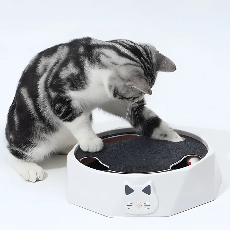 Cat Toy Scratch Pad Interactive Mouse Activity Center