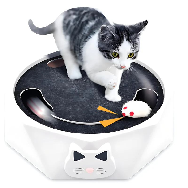 Cat Toy Scratch Pad Interactive Mouse Activity Center