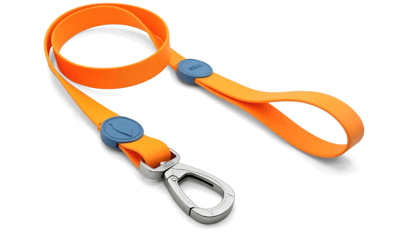Guinzaglio Waterproof Orange per Cani