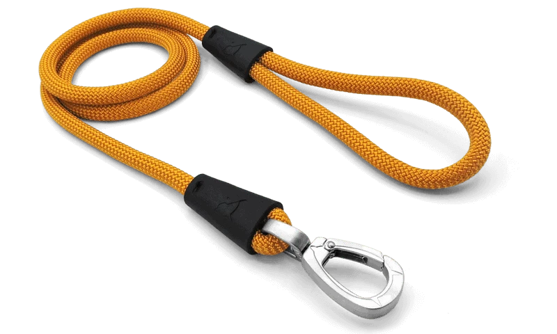 Corda Regular Touch Gold per Cani