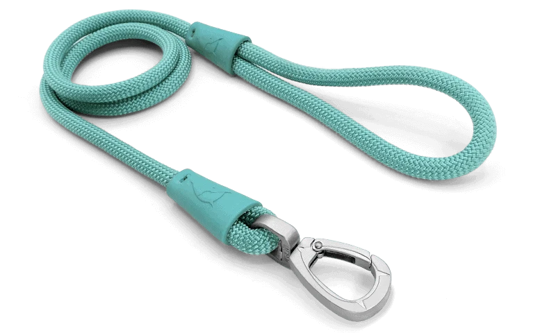 Corda Regular Touch Aquamarine per Cani
