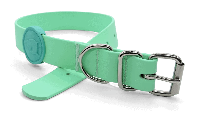 Collare Waterproof Caribbean Green per Cani