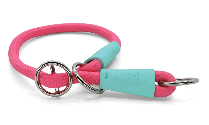 Collare Da Addestramento Soft Touch Fuchsia per Cani