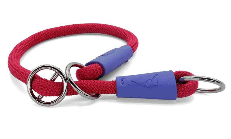 Collare Da Addestramento Regular Touch Red Velvet per Cani