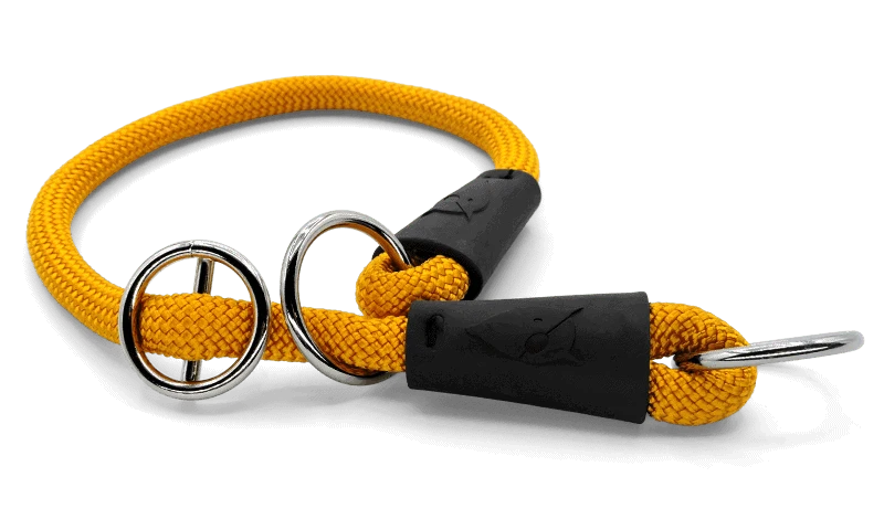 Collare Da Addestramento Regular Touch Gold per Cani