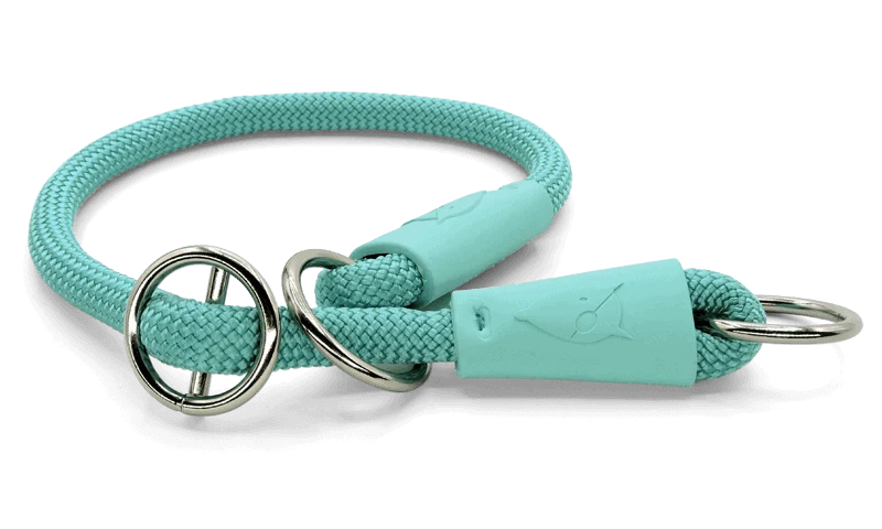 Collare Da Addestramento Regular Touch Aquamarine per Cani