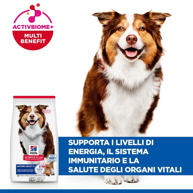 HILL'S SCIENCE PLAN Mature Adult Medium Alimento secco per Cani all'Agnello & Riso - 14kg