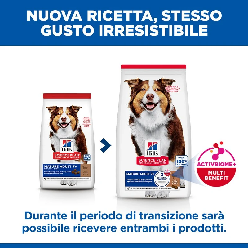 HILL'S SCIENCE PLAN Mature Adult Medium Alimento secco per Cani all'Agnello & Riso - 14kg