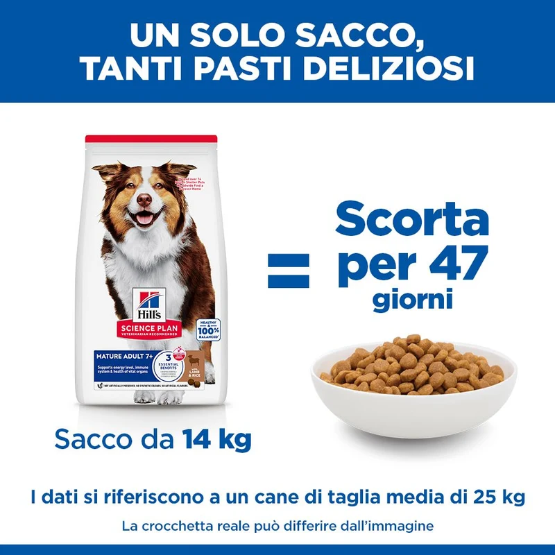 HILL'S SCIENCE PLAN Mature Adult Medium Alimento secco per Cani all'Agnello & Riso - 14kg