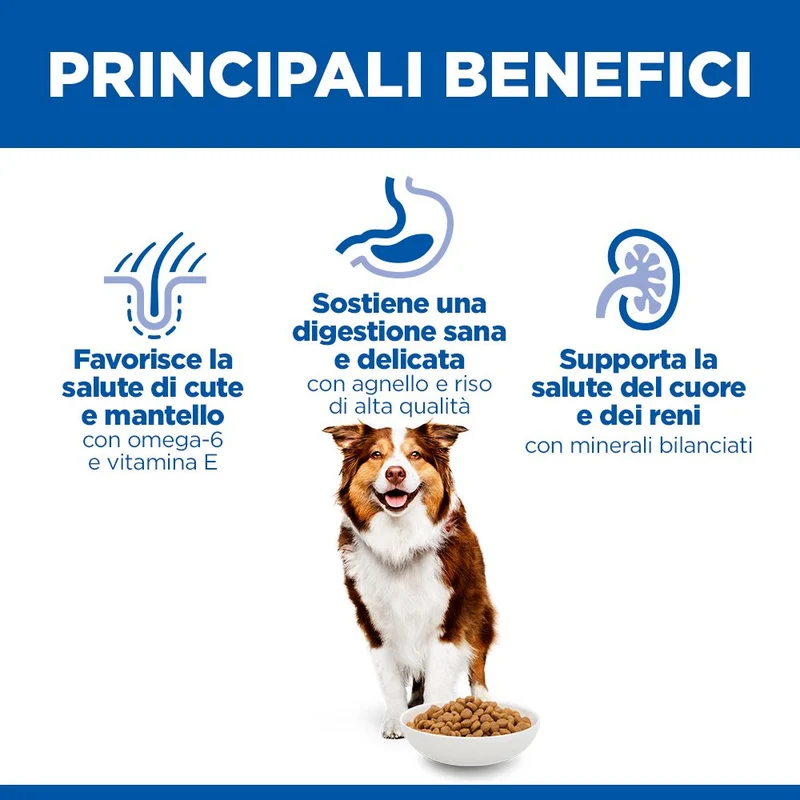 HILL'S SCIENCE PLAN Mature Adult Medium Alimento secco per Cani all'Agnello & Riso - 14kg