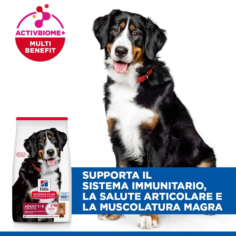 HILL'S SCIENCE PLAN Adult Large Breed Alimento secco per cani all'agnello e riso - 14kg