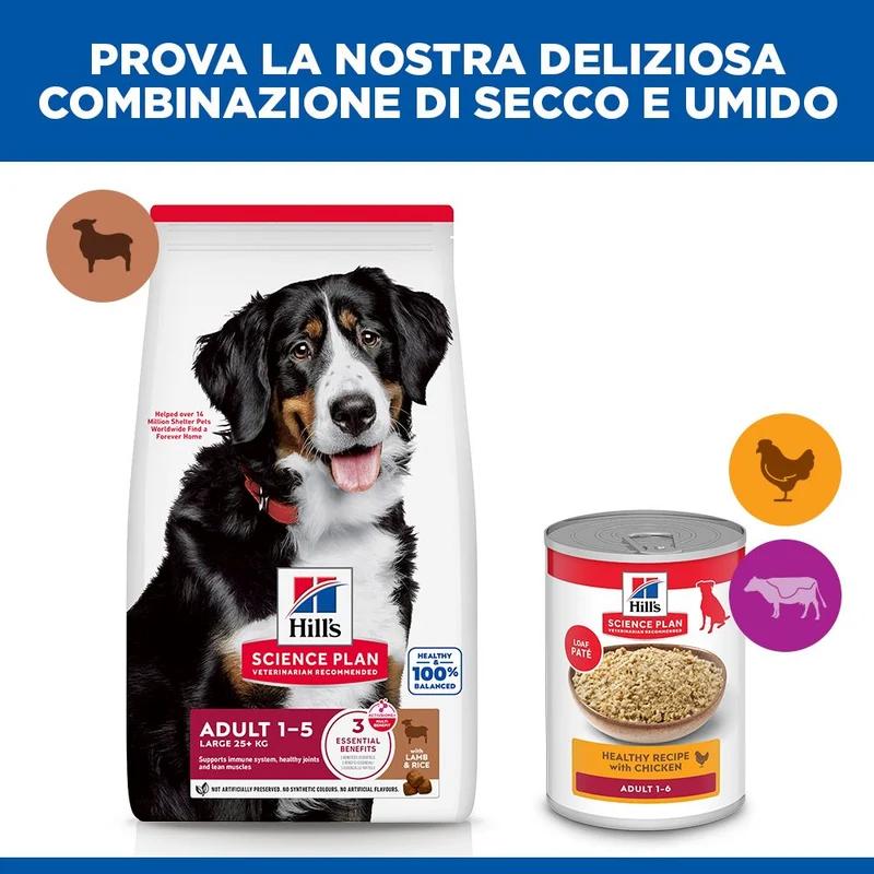 HILL'S SCIENCE PLAN Adult Large Breed Alimento secco per cani all'agnello e riso - 14kg