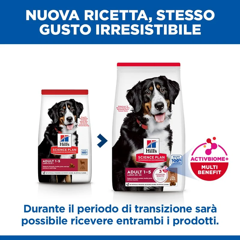 HILL'S SCIENCE PLAN Adult Large Breed Alimento secco per cani all'agnello e riso - 14kg