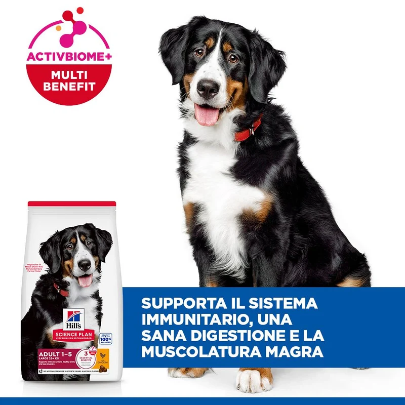 HILL'S SCIENCE PLAN Adult Large Breed Alimento secco per cani al pollo - 14kg