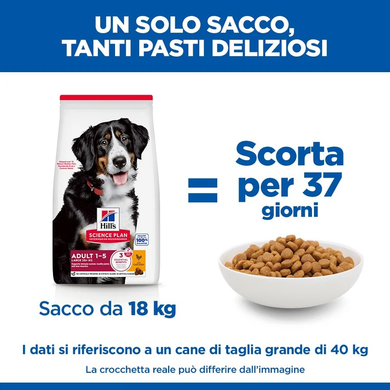 HILL'S SCIENCE PLAN Adult Large Breed Alimento secco per cani al pollo - 14kg