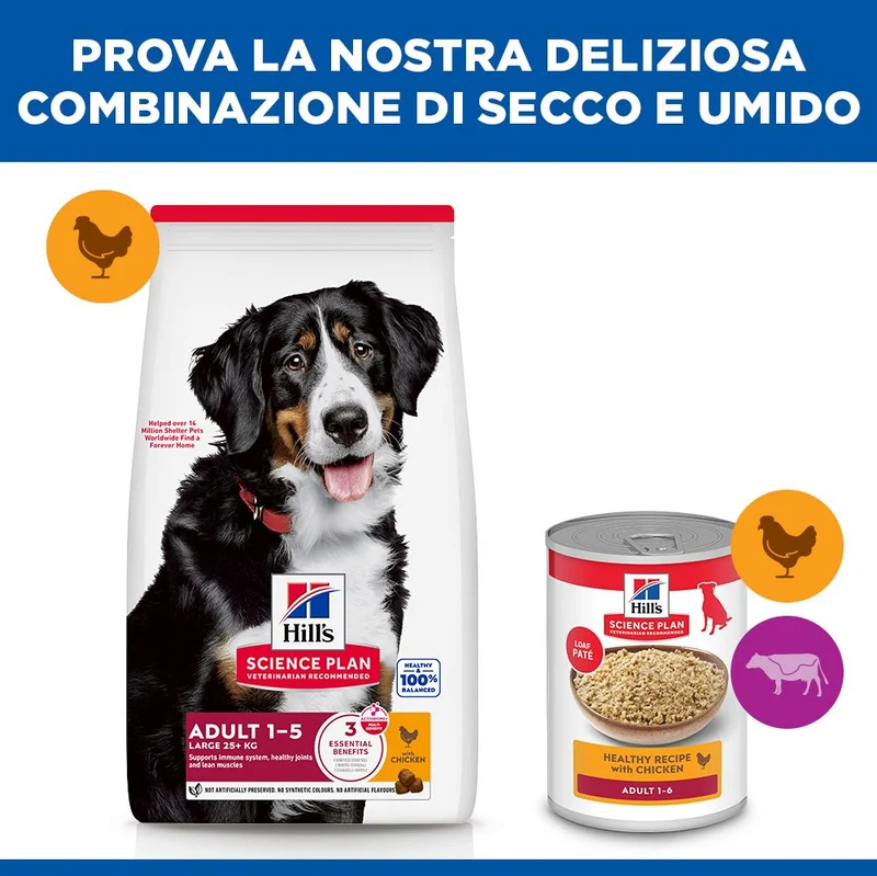 HILL'S SCIENCE PLAN Adult Large Breed Alimento secco per cani al pollo - 14kg