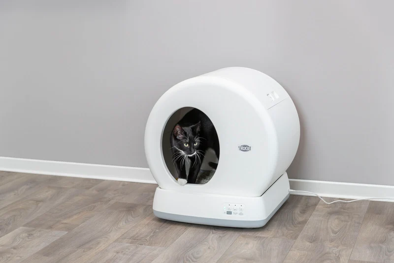 Lettiera per gatti autopulente