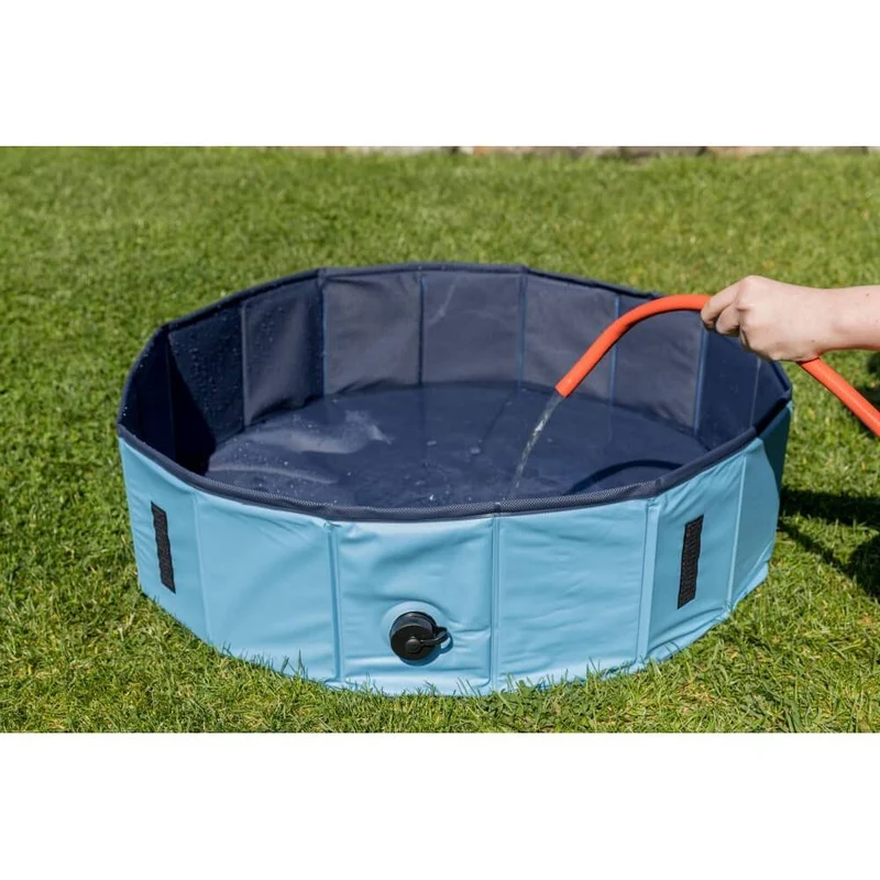 Piscina per cani