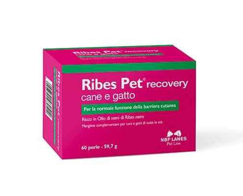 Nbf Ribes Pet Recovery Cane E Gatto 60 Perle