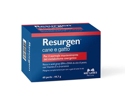 Nbf Resurgen Cane E Gatto 60 Perle, 44.1G