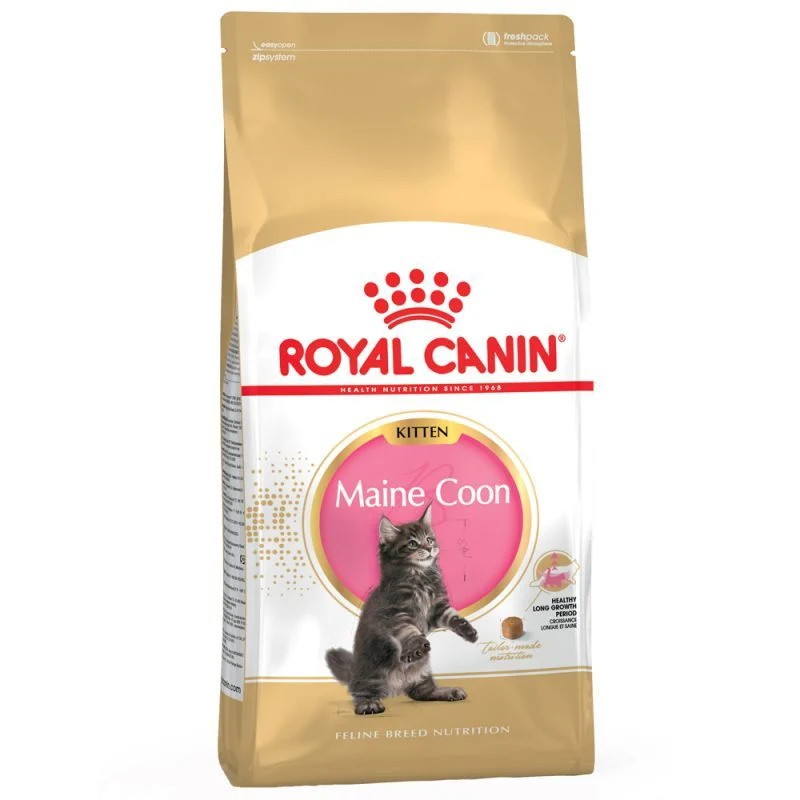 Royal Canin Fbn Crocchette Per kitten Maine Coon