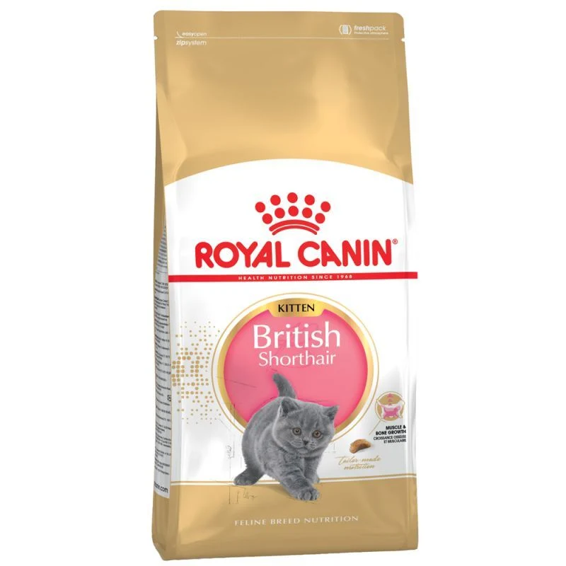 Royal Canin British Shorthair Kitten Per Gatti
