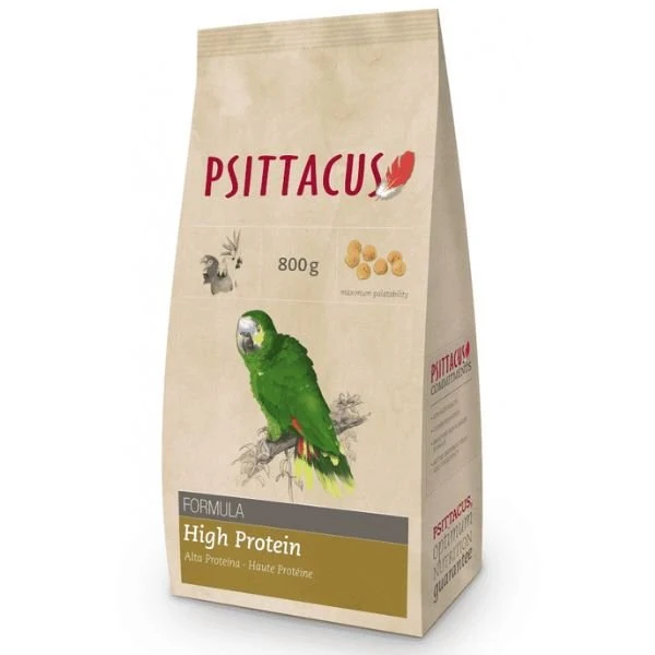 Psittacus Mantenimento Alta Proteina