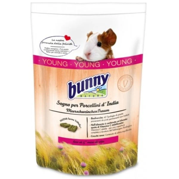 Bunny Sogno Per Porcellini D'India Young