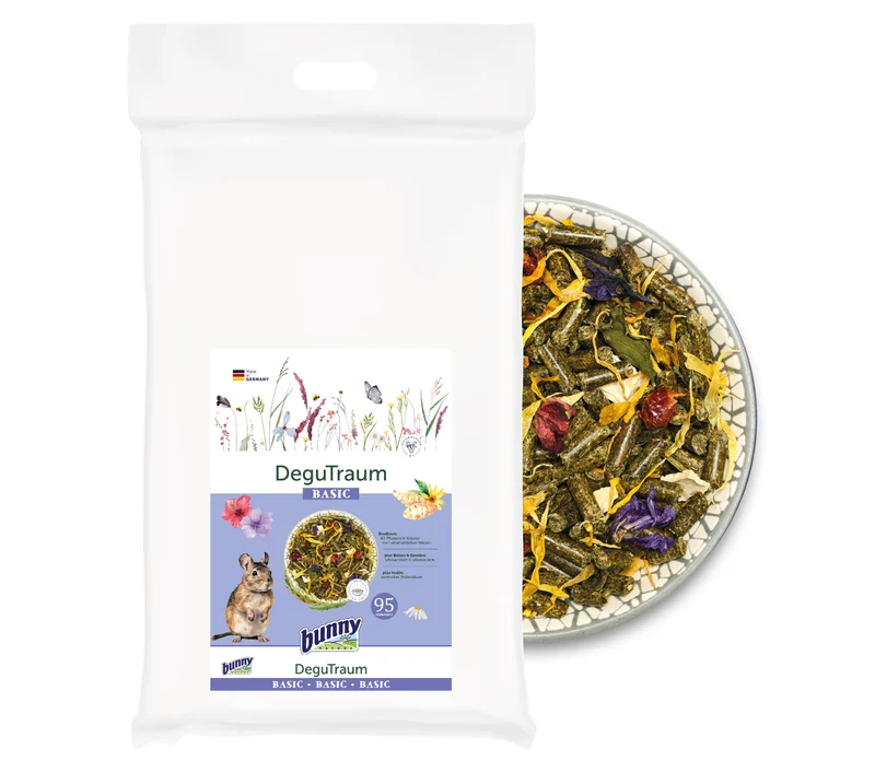 Bunny Sogno Per Degu