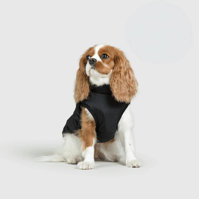 Dog Jacket Winter Outdoor Pet Coat