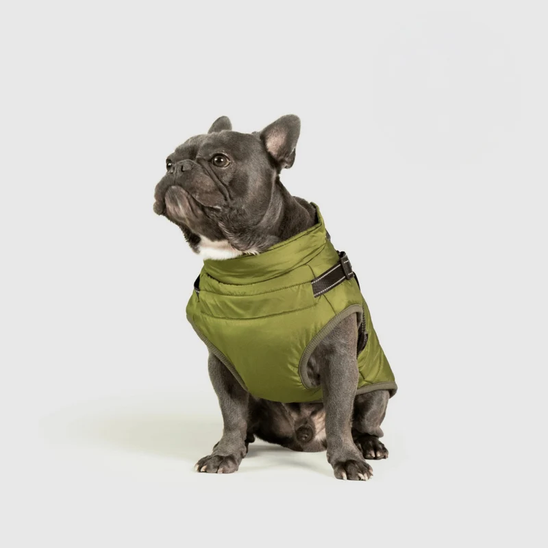 Dog Jacket Winter Outdoor Pet Coat