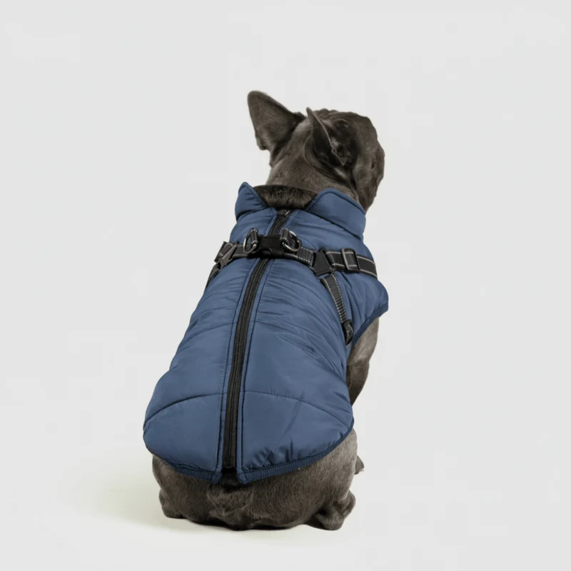 Dog Jacket Winter Outdoor Pet Coat