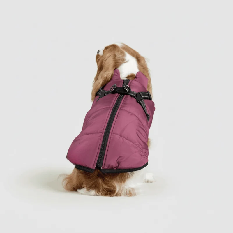 Dog Jacket Winter Outdoor Pet Coat