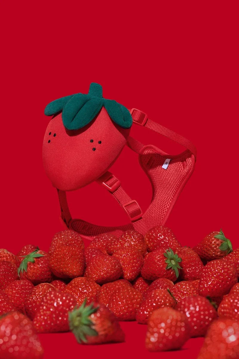 VETRESKA Zainetto Fragola Small