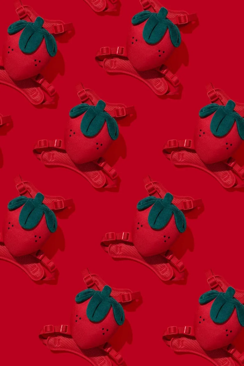 VETRESKA Zainetto Fragola Small