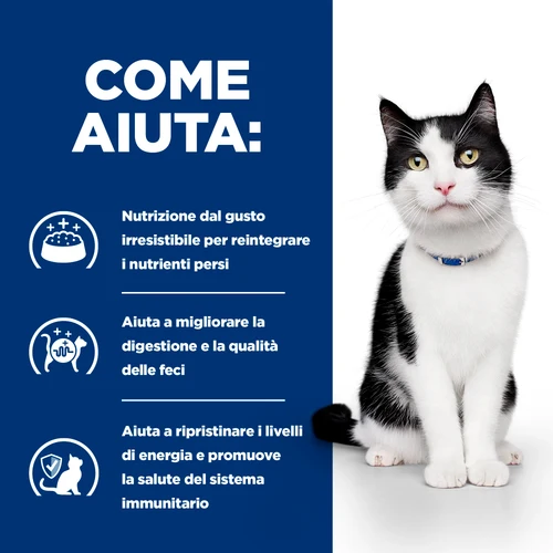 Hill's Prescription Diet i/d alimento per gatti 1,5kg