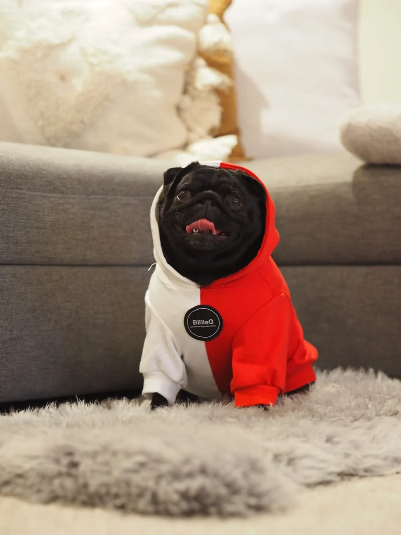 BillieG BFF 2 Tone Hoodie Dog - Red & White