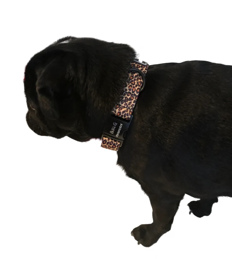 BillieG Leopard Print Adjustable Nylon Collar & Bow tie with Quick Release Black Engravable Metal Buckle