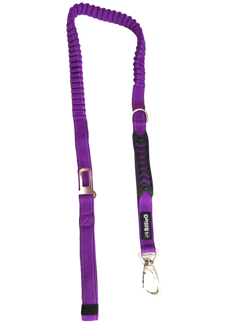 BillieG Heavy duty nylon dog lead with dual handles and car seat belt clip